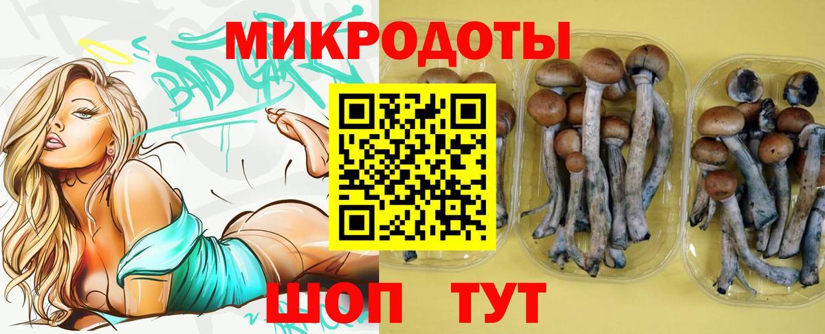 Галлюциногенные грибы Psilocybe  Вход с VPN  Волжский  Псилоцибиновые грибы MAGIC MUSHROOMS 